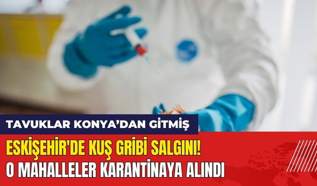 Eskişehir'de Kuş Gribi Salgını! O Mahalleler Karantinaya Alındı