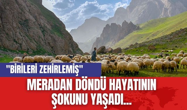 Meradan döndü hayatının şokunu yaşadı... "Birileri zehirlemiş"