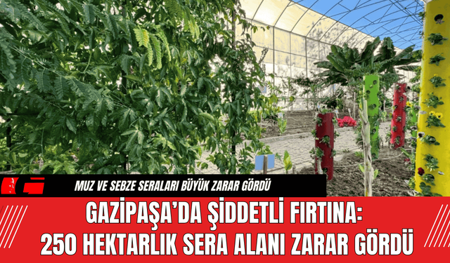 Gazipaşa’da Şiddetli Fırtına: 250 Hektarlık Sera Alanı Zarar Gördü