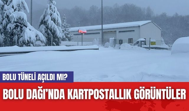 Bolu Dağı’nda Kartpostallık Görüntüler: Bolu Tüneli Açıldı mı?