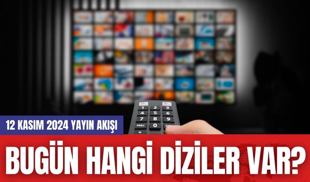 Bugün Hangi Diziler Var? 12 Kasım 2024 Yayın Akışı