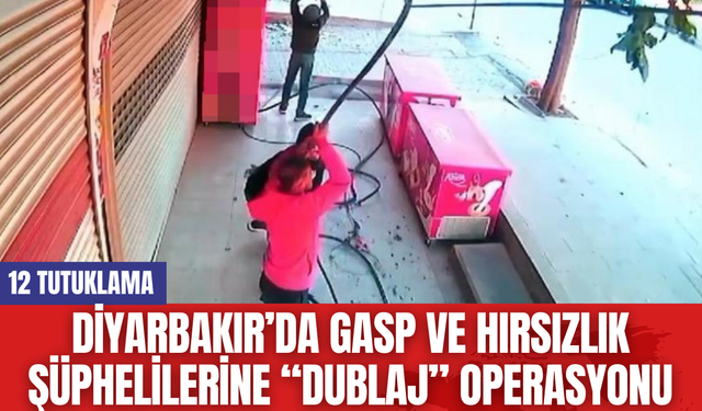 Diyarbakır’da Gasp Ve Hırsızlık Şüphelilerine “Dublaj” Operasyonu: 12 Tutuklama