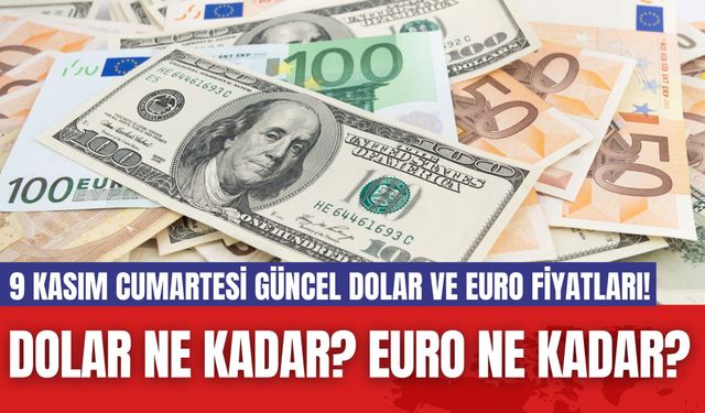 Dolar Ne Kadar? Euro Ne Kadar? 9 Kasım Cumartesi Güncel Dolar ve Euro Fiyatları!