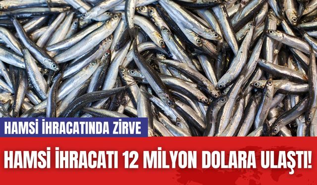 Hamsi İhracatı 12 Milyon Dolara Ulaştı! Hamsi İhracatında Zirve