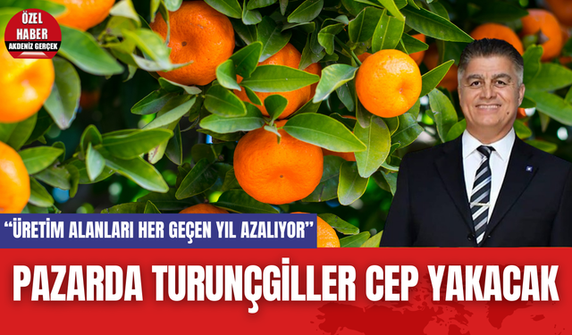 Pazarda Turunçgiller Cep Yakacak! Antalya'da Üretim Alanları Azalıyor