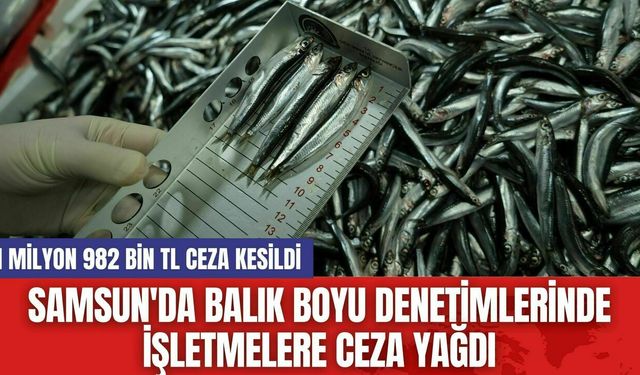 Samsun'da Balık Boyu Denetimlerinde İşletmelere Ceza Yağdı