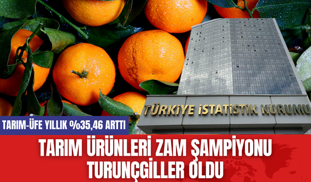 Tarım Ürünleri Zam Şampiyonu Turunçgiller Oldu