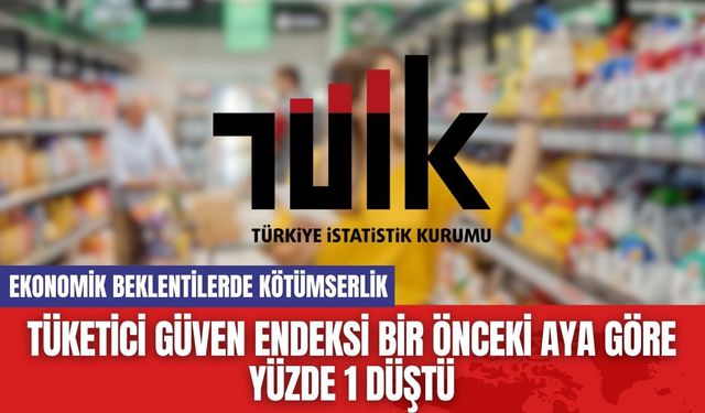 Tüketici güven endeksi bir önceki aya göre yüzde 1 düştü