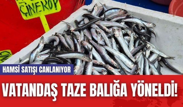 Vatandaş Taze Balığa Yöneldi! Hamsi Satışı Canlanıyor