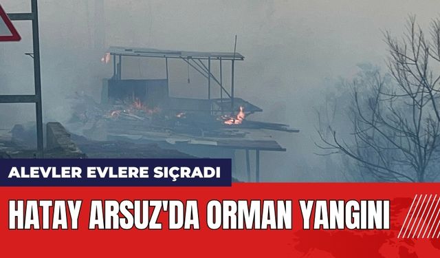 Hatay'da orman yangını çıktı