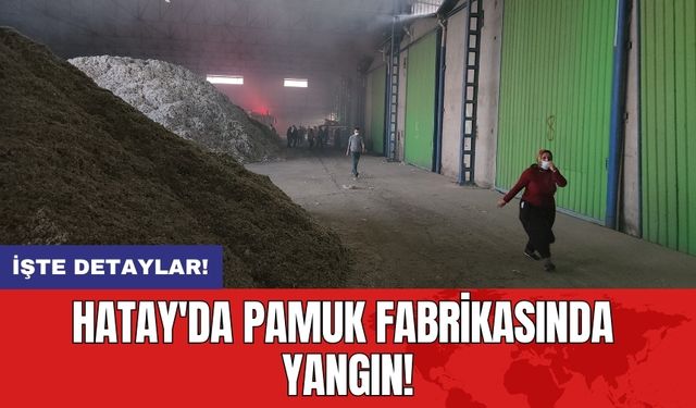 Hatay'da pamuk fabrikasında yangın!