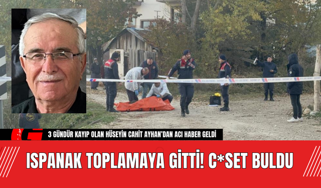 Ispanak Toplamaya Gitti! C*set Buldu