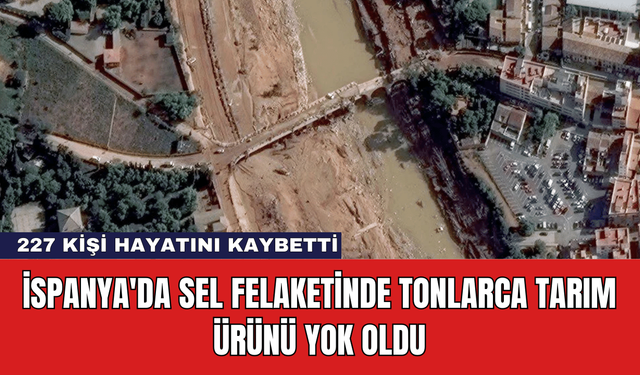 İspanya'da Sel Felaketinde Tonlarca Tarım Ürünü Yok Oldu