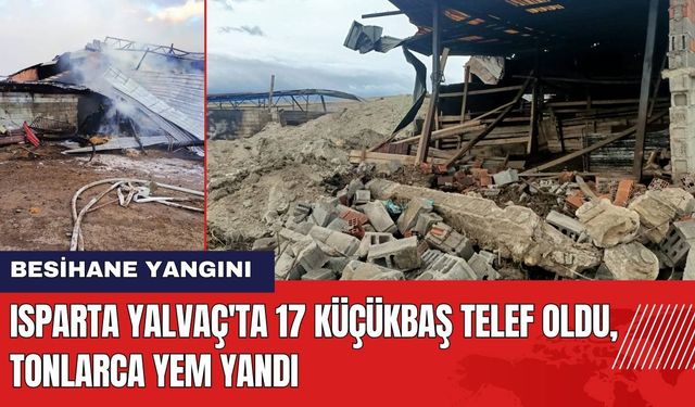 Isparta Yalvaç'ta Besihane Yandı: 17 Küçükbaş Telef Oldu Tonlarca Yem Yandı