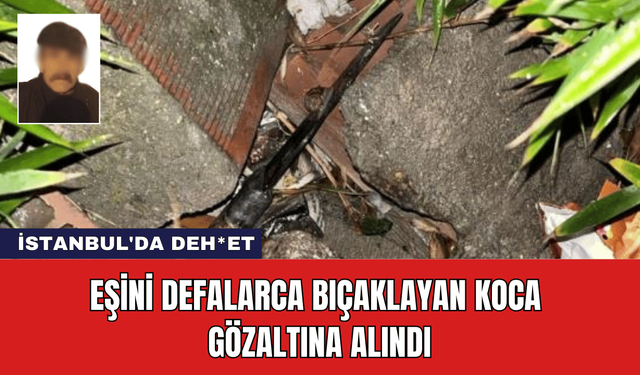 İstanbul'da Deh*et: Eşini Defalarca Bıçaklayan Koca Gözaltına Alındı