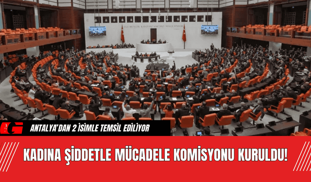 Kadına Şiddetle Mücadele Komisyonu Kuruldu!