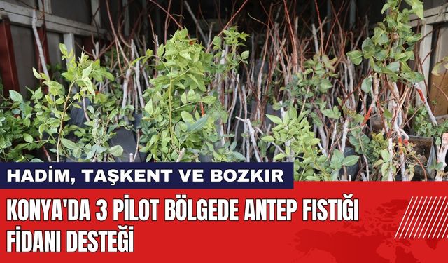 Konya'da 3 Pilot Bölgede Antep Fıstığı Fidanı Desteği