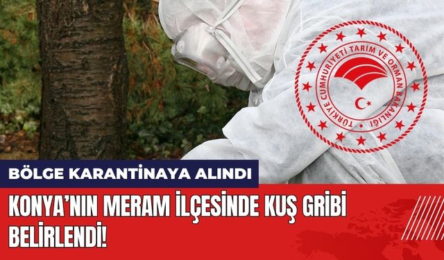 Konya’nın Meram İlçesinde Kuş Gribi Belirlendi! Bölge Karantinada