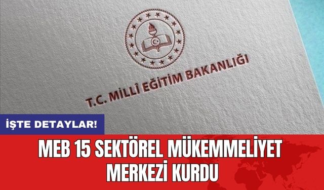 MEB 15 Sektörel Mükemmeliyet Merkezi Kurdu