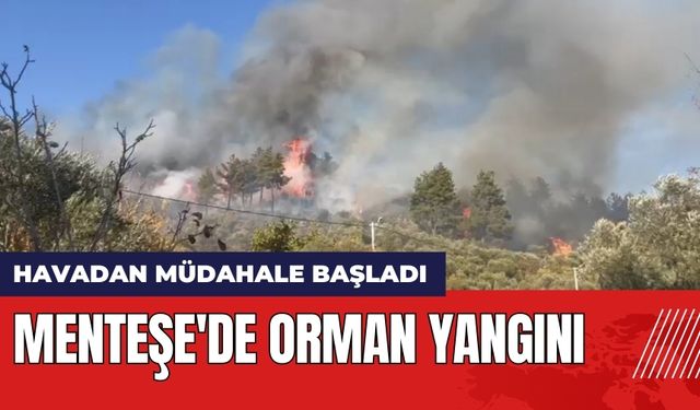 Menteşe'de Orman Yangını! Havadan Müdahale Başladı