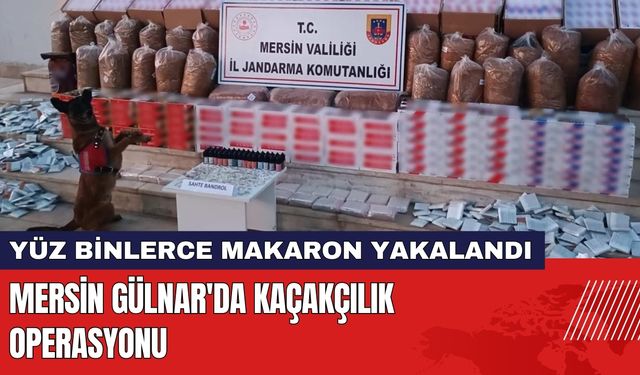 Mersin Gülnar'da Kaçakçılık Operasyonu!