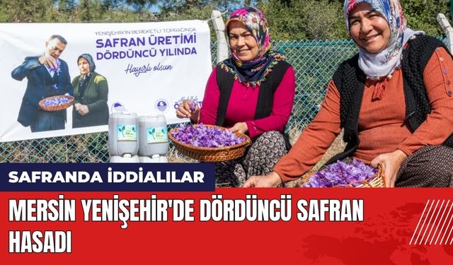 Mersin Yenişehir'de Dördüncü Safran Hasadı