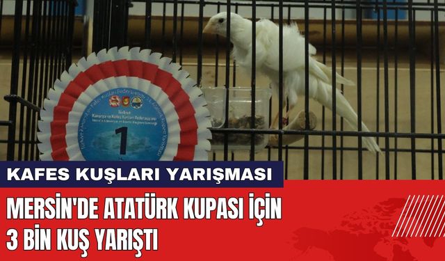 Mersin'de Atatürk Kupası İçin 3 Bin Kuş Yarıştı