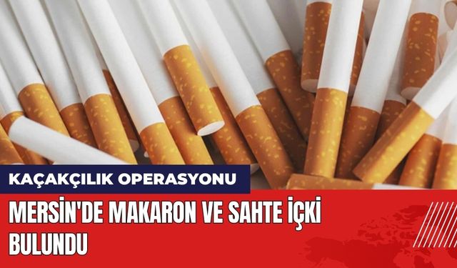 Mersin'de Kaçakçılık Operasyonu: Makaron ve Sahte İçki Bulundu