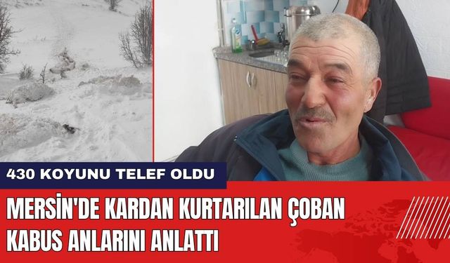 Mersin'de Kardan Kurtarılan Çobanın 430 Koyunu Telef Oldu