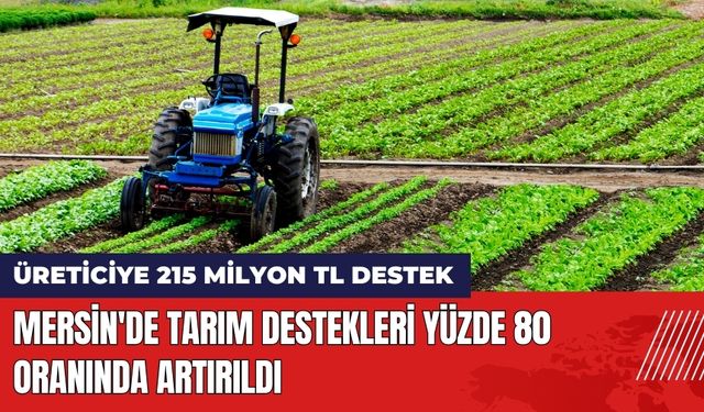 Mersin'de Tarım Destekleri Yüzde 80 Oranında Artırıldı