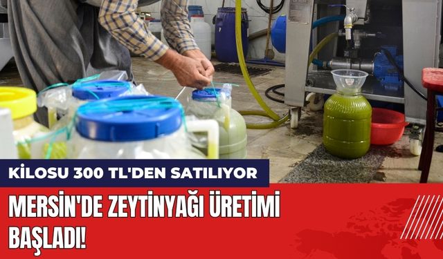 Mersin'de Zeytinyağı Üretimi Başladı! Kilosu 300 TL