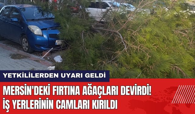 Mersin'deki Fırtına Ağaçları Devirdi! İş Yerlerinin Camları Kırıldı