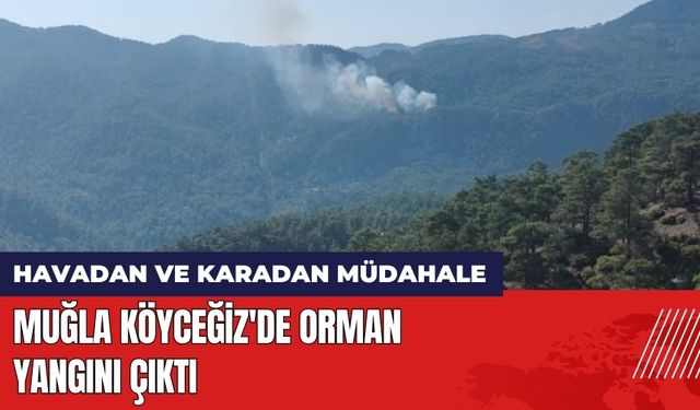 Muğla Köyceğiz'de Orman Yangını Çıktı