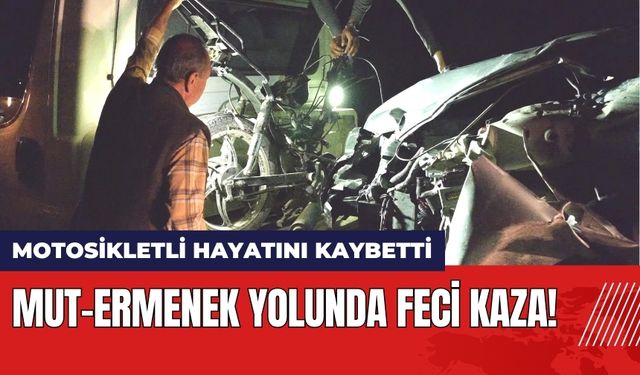 Mut-Ermenek Yolunda Feci Kaza!