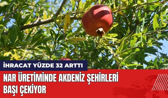 Nar Üretiminde Akdeniz Şehirleri Başı Çekiyor! İhracat Yüzde 32 Arttı