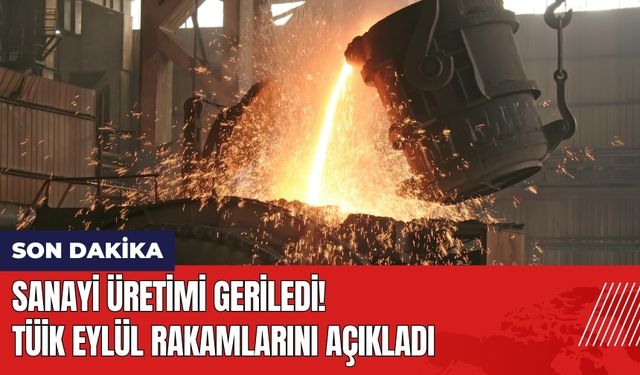 Sanayi Üretimi Geriledi! TÜİK Eylül Rakamlarını Açıkladı