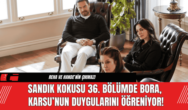 Sandık Kokusu 36. Bölümde Bora, Karsu’nun Duygularını Öğreniyor!