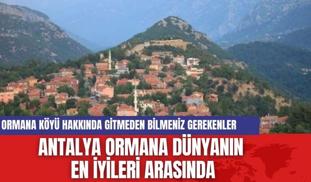 Antalya Ormana Dünyanın En İyileri Arasında