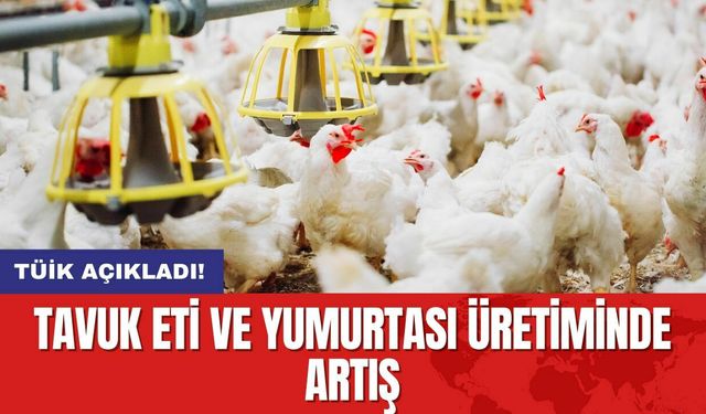 TÜİK Açıkladı: Tavuk Eti ve Yumurtası Üretiminde Artış