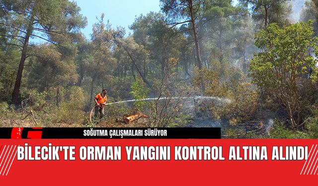 Bilecik'te Orman Yangını Kontrol Altına Alındı