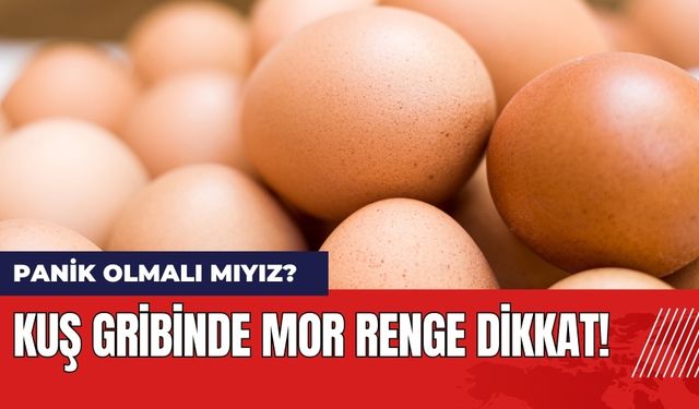 Uzmandan Kuş Gribi Uyarısı: Mor Renk Varsa Dikkat!