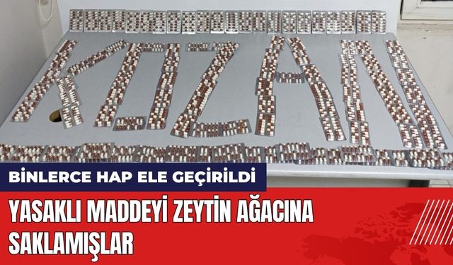 Yasaklı Maddeyi Zeytin Ağacına Saklamışlar