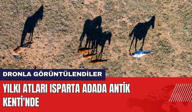 Yılkı Atları Isparta Adada Antik Kenti'nde Dronla Görüntülendi