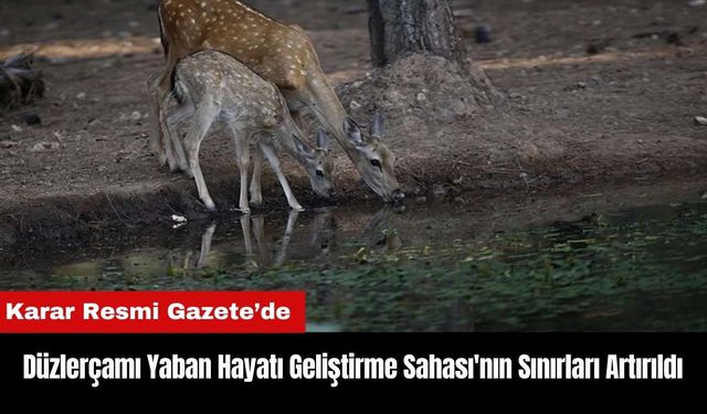 Antalya Düzlerçamı Yaban Hayatı Geliştirme Sahası'nın Sınırları Artırıldı