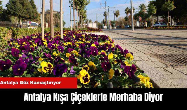 Antalya Kışa Çiçeklerle Merhaba Diyor