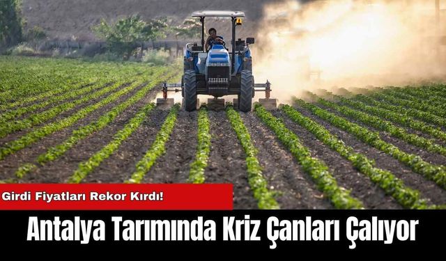 Antalya Tarımında Kriz Çanları Çalıyor: Girdi Fiyatları Rekor Kırdı!