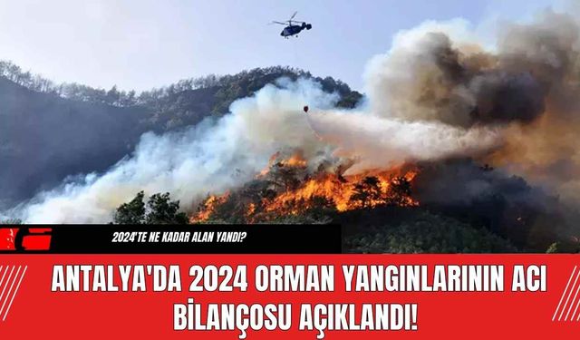 Antalya'da 2024 Orman Yangınlarının Acı Bilançosu Açıklandı!