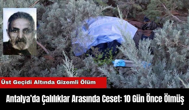 Antalya’da Çalılıklar Arasında C*set: 10 Gün Önce Ölmüş