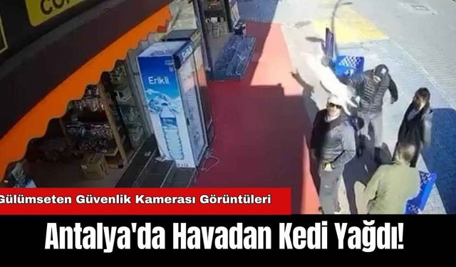 Antalya’da Şaşırtan Anlar! Antalya'da Havadan Kedi Yağdı!