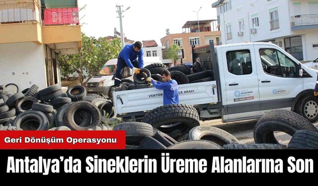 Antalya’da Sineklerin Üreme Alanlarına Son: Geri Dönüşüm Operasyonu